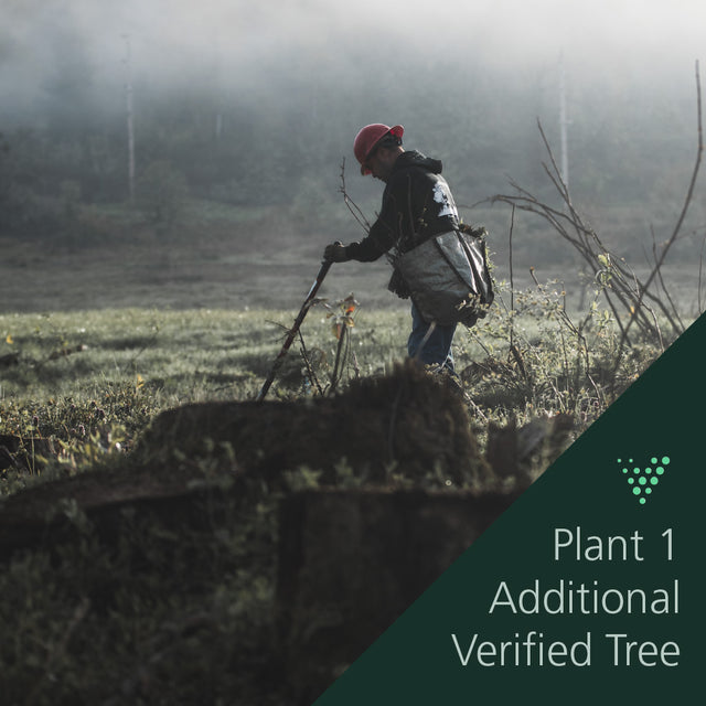 Man in a field planting a tree in partnership with Rubio Monocoat USA