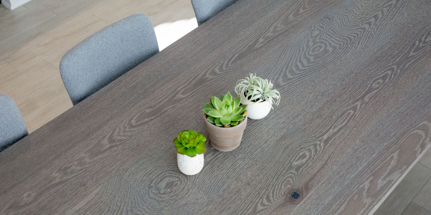 Cerused wood dining table with three small succulents sitting on top of the table