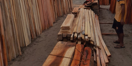 A lumberyard with multiple wood species laid out for selection