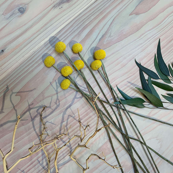 Floral elements laid on a redwood retail display table finished with Rubio Monocoat Oil Plus 2C.