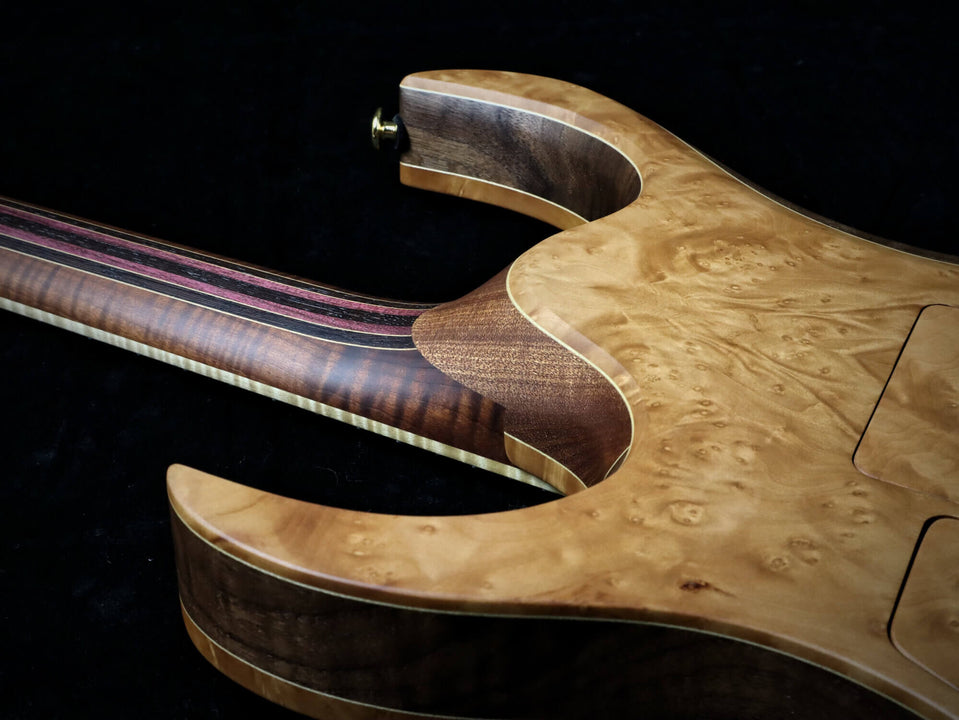 A photos of the back of the guitar body.