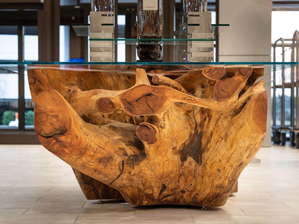 Caobilla rootball table.