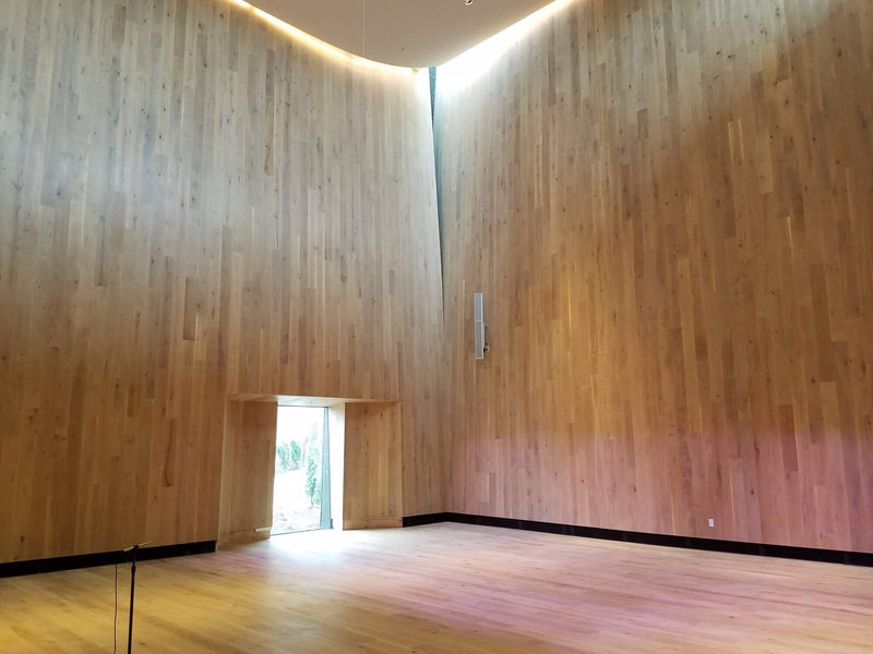 Large concert hall with wood walls shaped like an instrument to direct sound upwards.
