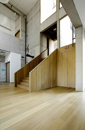 French Oak flooring in a college