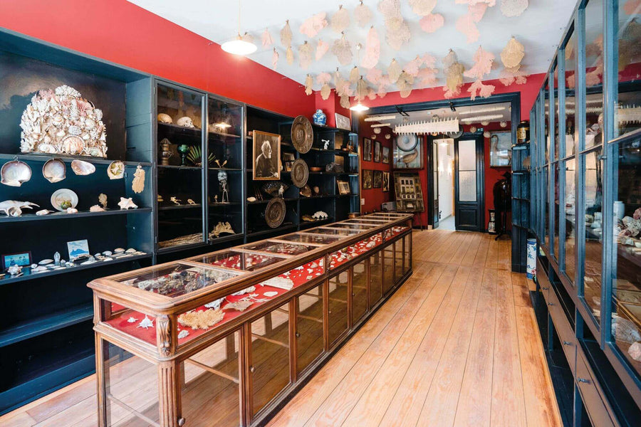 Unique museum in Belgium has old wood floors re finished with Rubio Monocoat Oil Plus 2C.