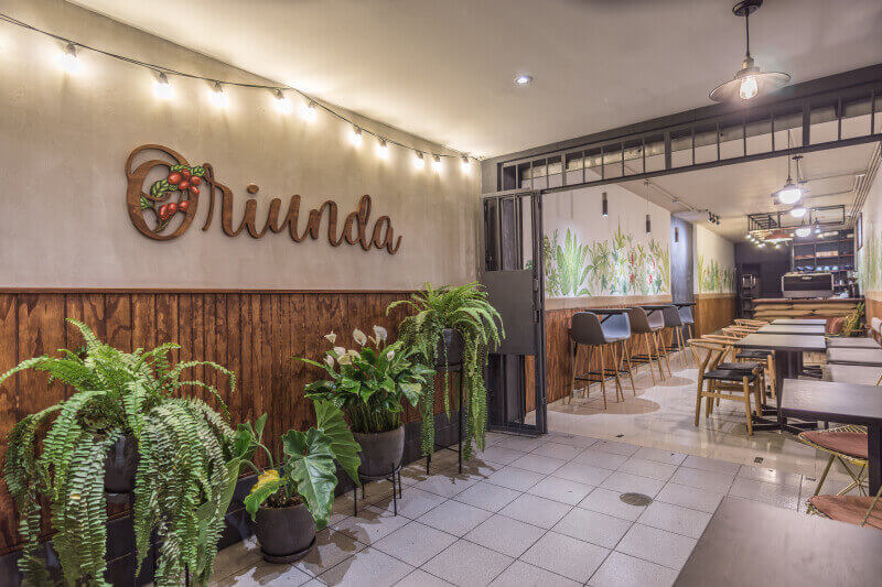 The entrance to Oriunda coffee shop is lined with green plants.