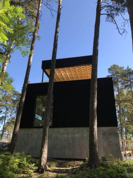 A modern home in the forest.
