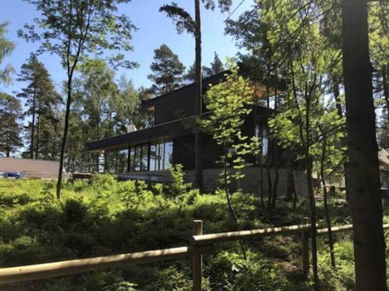 A modern home in a forest full of trees.