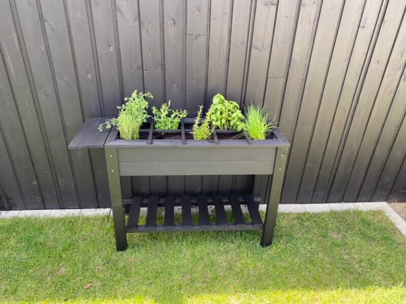 Herb Garden — 2 of 2