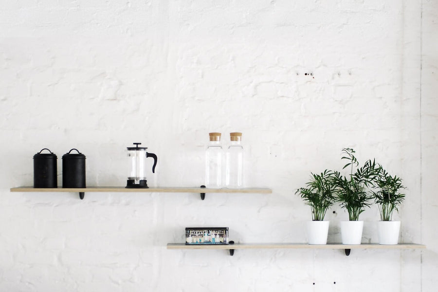 Thin wood wall shelving with white and black decor and plants.