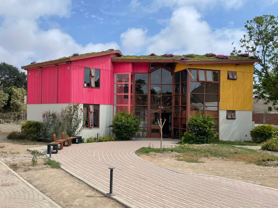 Wide exterior shot of the Aynimundo building showing its pink and yellow corrugated wood cladding, living roof in bloom, and matching wood benches along the entry path under a partly cloudy sky.