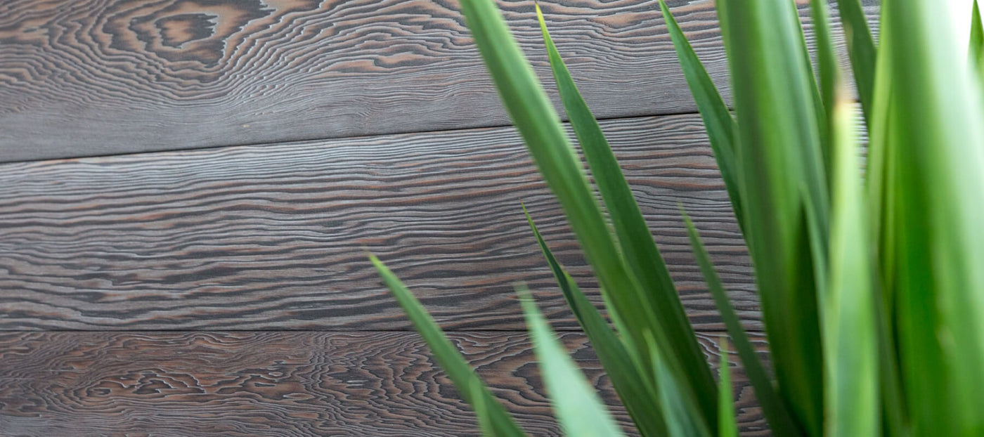 A wood panel of shou sugi bahn with a green plant in front of it in the Rubio Monocoat USA headquarters