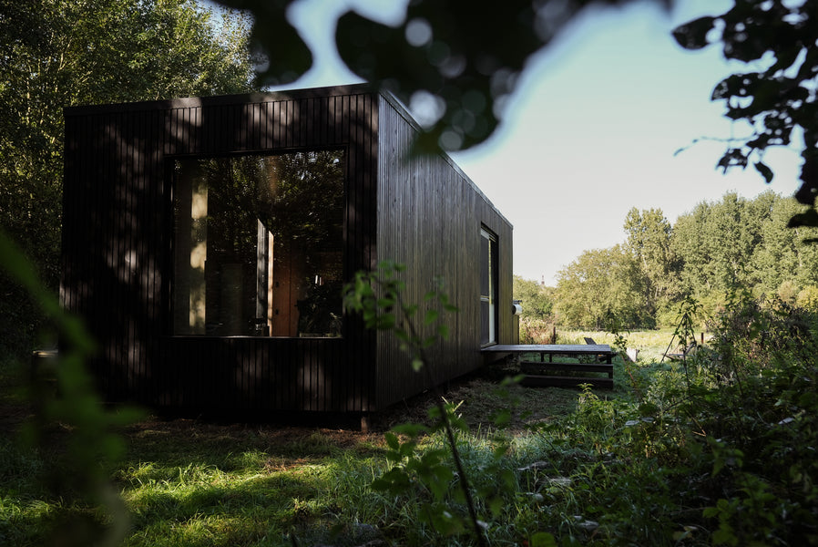 Afternoon shadows are cast around a modern cabin immersed in nature. 