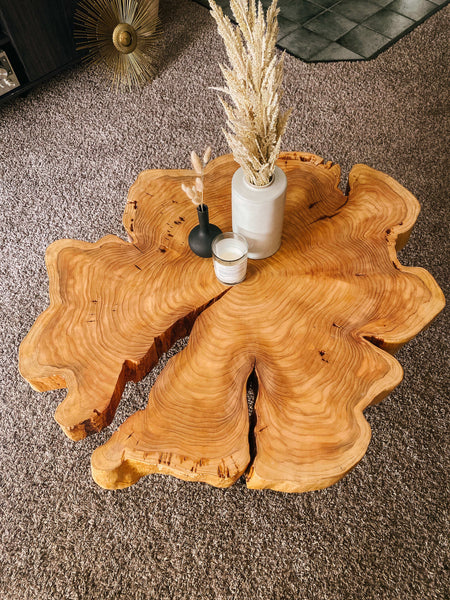 Live edge wood cookie coffee table in living room